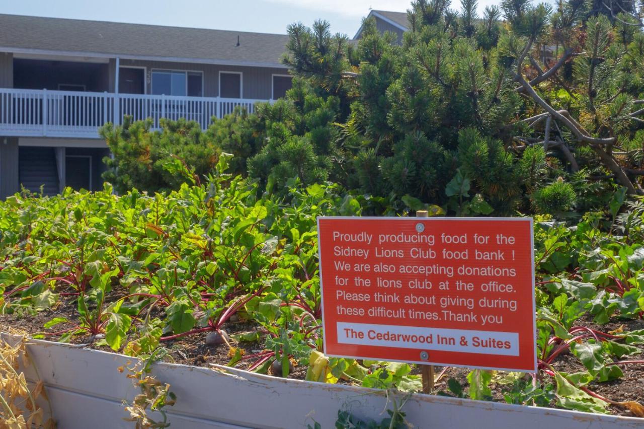 The Cedarwood Inn & Suites Sidney Bagian luar foto